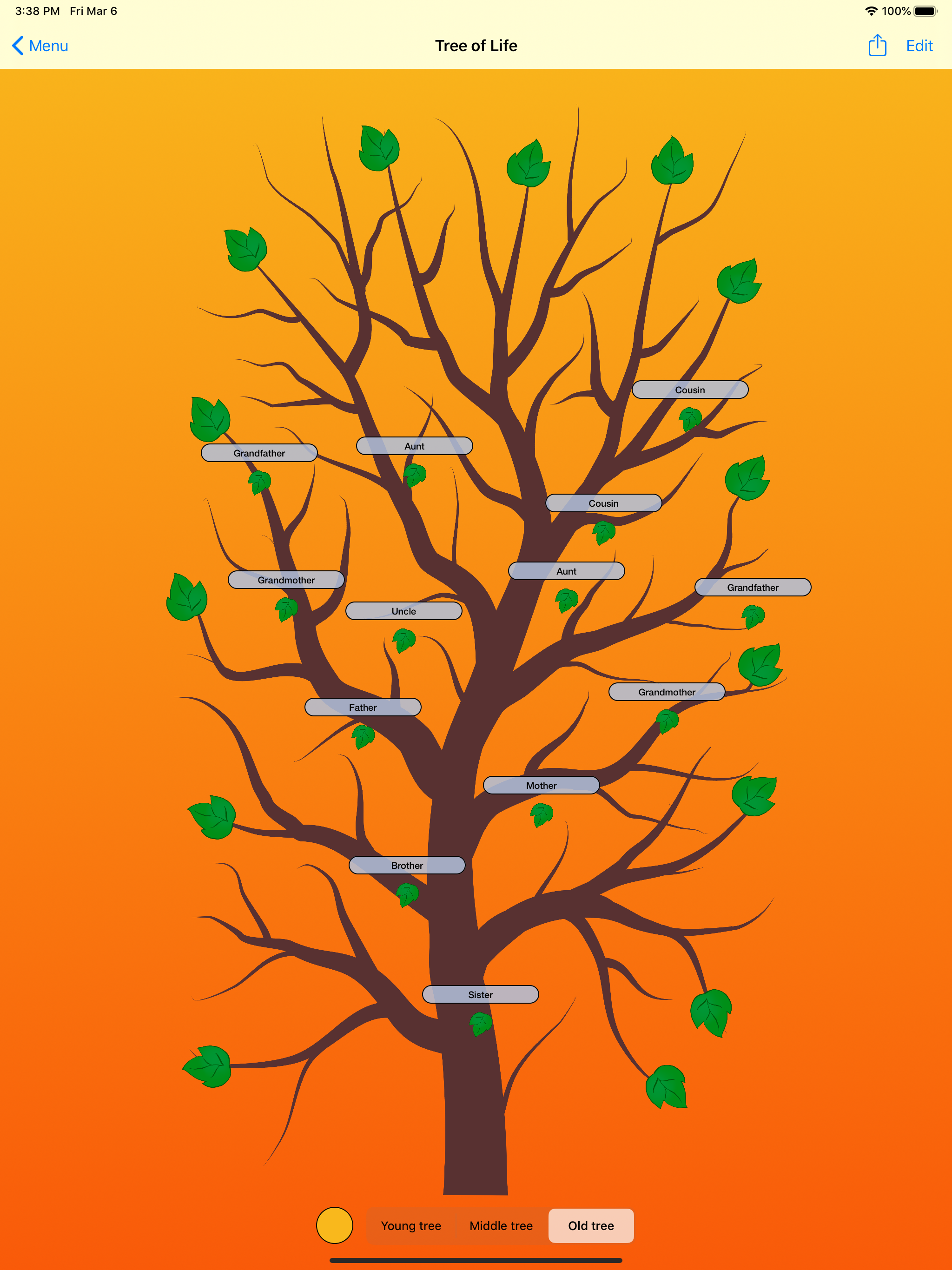 Tree of Life - Family Tree