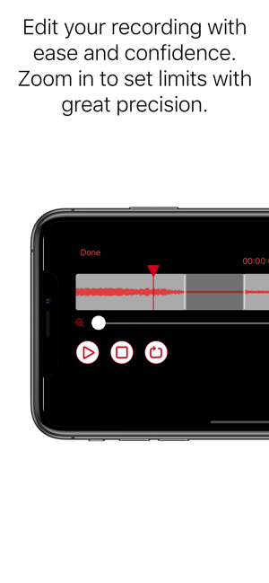 ‎Schermata del registratore vocale professionale
