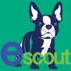 escout spanish