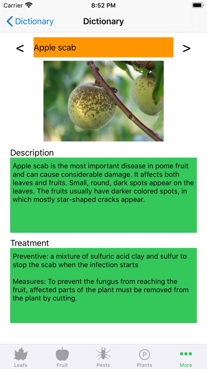 Plant diseases and pests screenshot-6