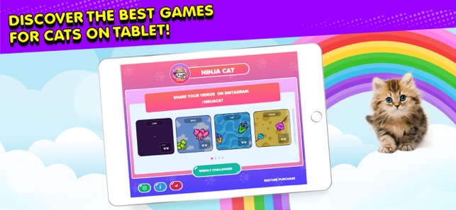 Google's New NINJA CAT Game is FREE & Awesome! 