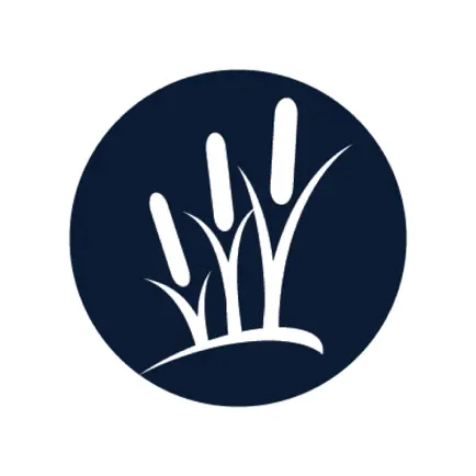 Bay Farm Montessori Academy Читы