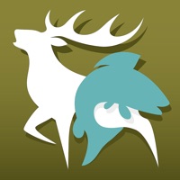 PareyGo messages.notwork