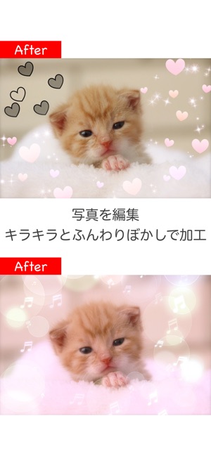 キラキラ加工 Lite 写真加工アプリ をapp Storeで