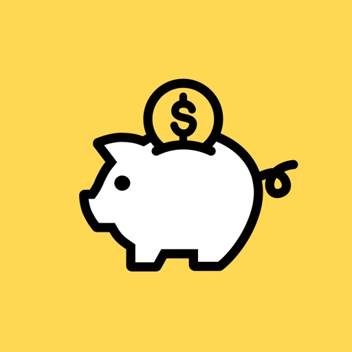 Money Manager : Budget Planner iOS App