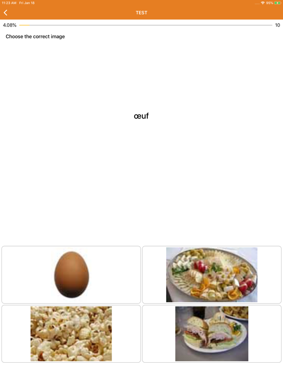 Beginner French - Smart Choice iPad screenshot 5 - Education app