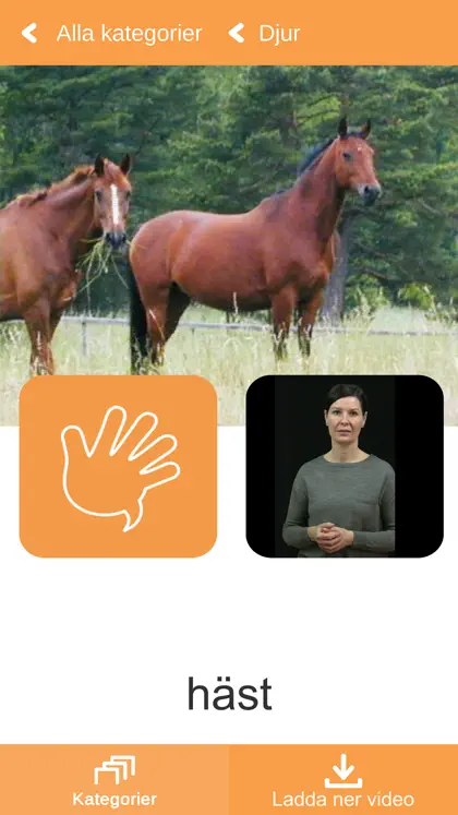 Screenshot 4 di 5 di SignitForward