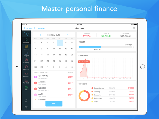 Pocket Expense Pro iPad app afbeelding 1