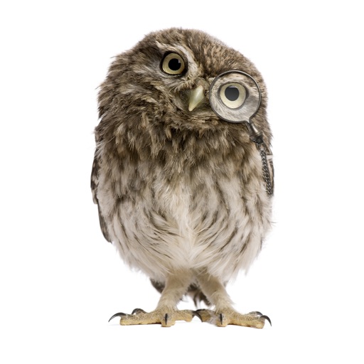 Howard Wealth MyWealth