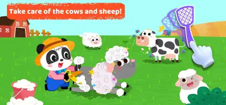 Baby Panda Preschool Science