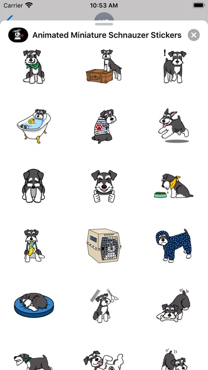 Miniature Schnauzer Stickers screenshot-3