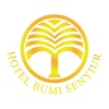 Bumi Senyiur