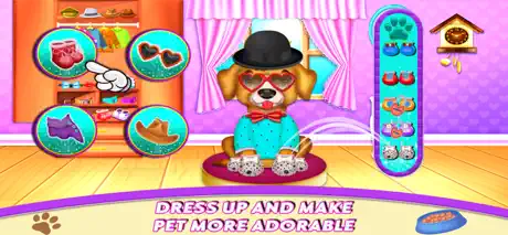 Labrador Pet Daycare