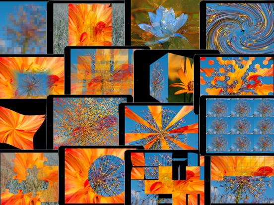 Black Frame iPad screenshot 6 - Photo & Video app