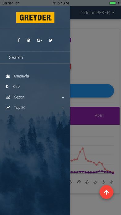 GreyderIn Screenshot