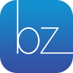 BizzZone