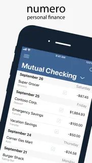 numero: personal finance iphone screenshot 1