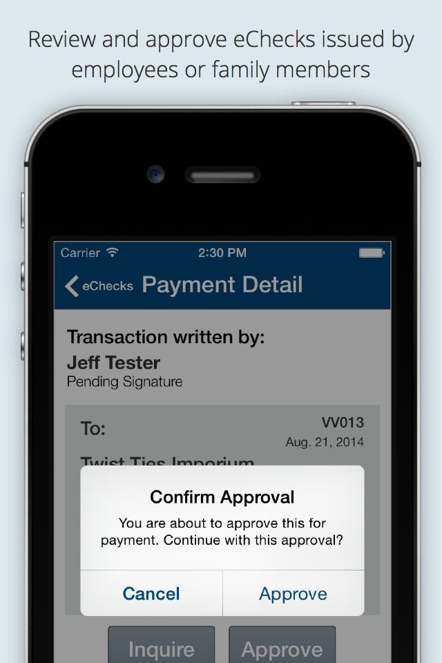 eChecksPro Mobile Checkbook screenshot 4