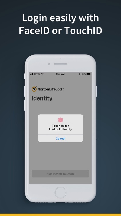 LifeLock Identity