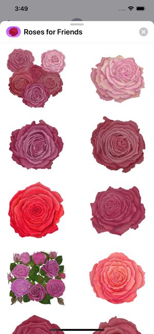 Roses for Friends Stickers(圖5)-速報App