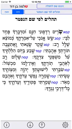 Esh Neshama אש נשמה iPhone Screenshot 3