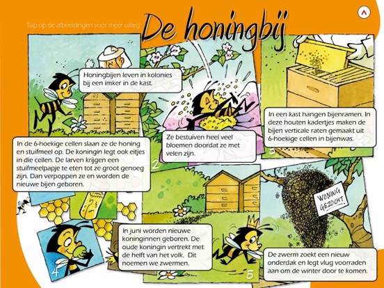 Screenshot #5 pour N'apps - Natuur'apps