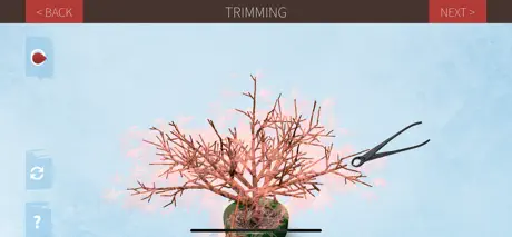 Make a Bonsai
