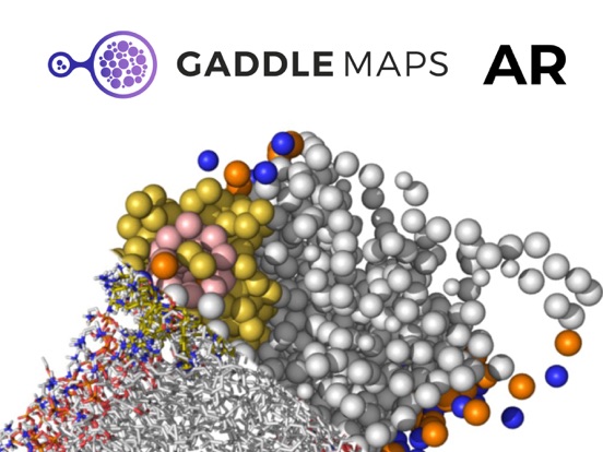 Screenshot #4 pour Gaddle maps AR