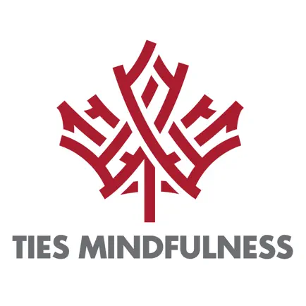 TIES Mindfulness Cheats
