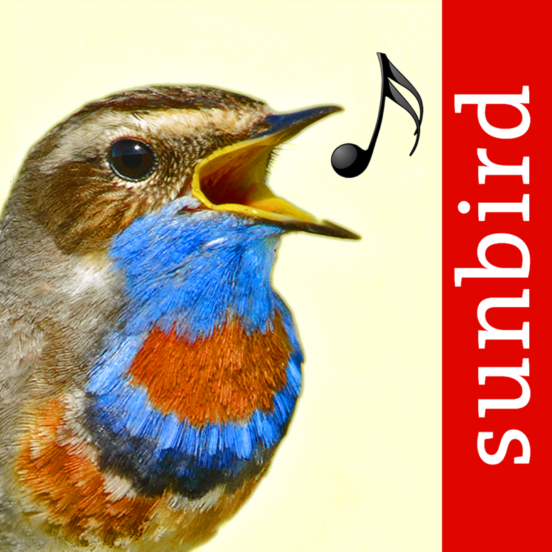 Vogelstimmen Id - Rufe,Gesänge