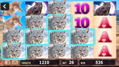 Fun Casino Slots Screenshot