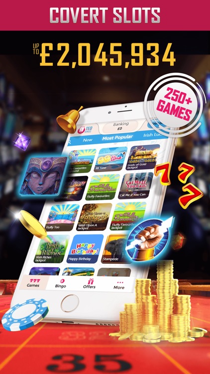 Ted Bingo - Best Slingo Bingo screenshot-3