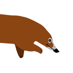 Coatimoji