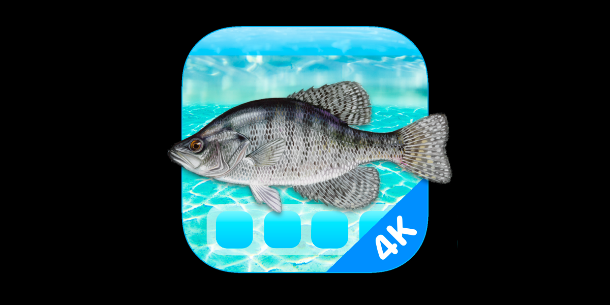 Download Aquarium 4K For Mac 1.0.4 Download Aquarium 4K For Mac 1.0.4