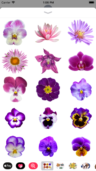 100+ Flower Stickers Screenshot