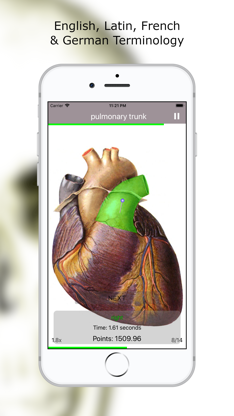 Anatomy Quiz Lite screenshot 4