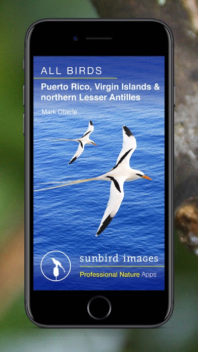 Screenshot #1 pour All Birds PR -> Antigua