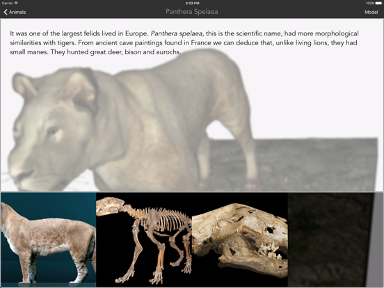 IsIPU iPad screenshot 5 - Education app