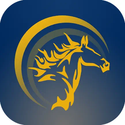 Arvak Training Manager Читы