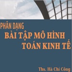 Bài tập mô hình toán kinh tế