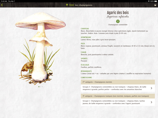 Screenshot #6 pour Déclic champi