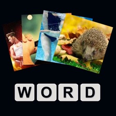 Activities of What's Word