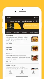 locomotiva burger problems & solutions and troubleshooting guide - 1