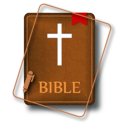 Bible International Version icon