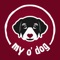 my o' dog - Das soziale Netzwerk für Hund und Halter