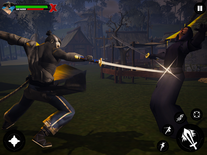 Shadow Ninja Warrior Assassin