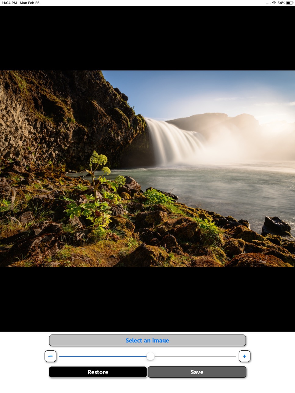 iPad screenshot