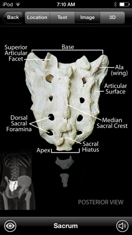 Skeletal Anatomy 3Dのおすすめ画像3