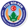 Toç Bir Sen