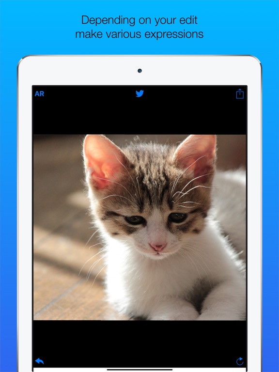 Screenshot #4 pour Sad Face Maker